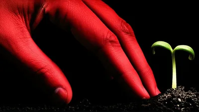 Illustration forbade - Image 1