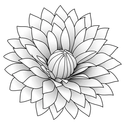 Illustration expands - Image 1