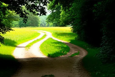 Illustration diverge - Image 1