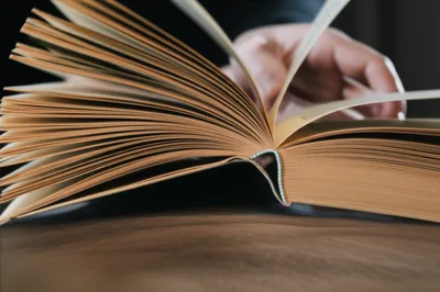 Illustration skimmed - Image 1