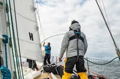 Illustration veer - Image 3