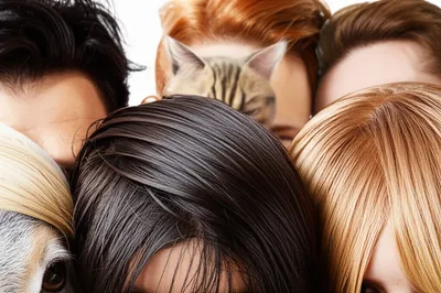 Illustration hairs - Image 1