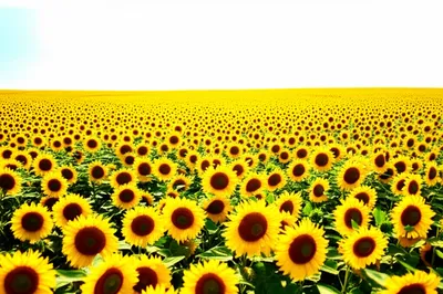 Hình ảnh minh họa greatest - Ảnh 1