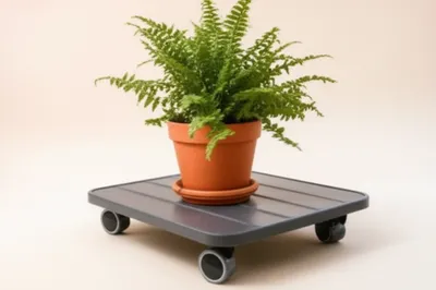 Illustration dollies - Image 1