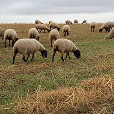 Illustration shacking - Image 1