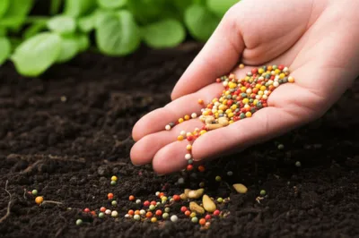 Illustration speckles - Image 1