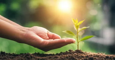 Illustration therapies - Image 1