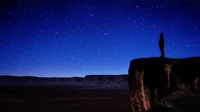 Illustration seeker - Image 1