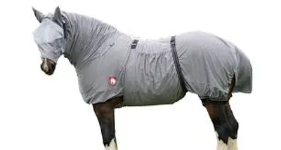 Illustration housing - Image 2