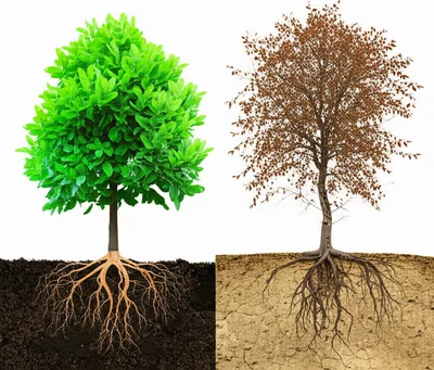 Illustration concoction - Image 1