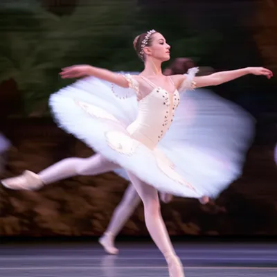 Illustration twirl - Image 1