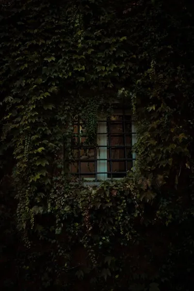 Illustration barred - Image 2