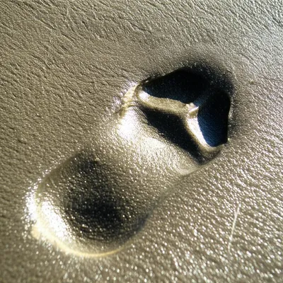 Illustration footprints