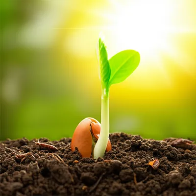 Illustration impel - Image 1