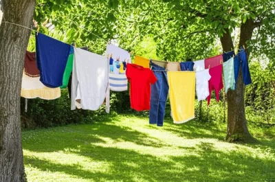 Illustration clothes - Image 1