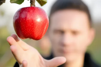 Illustration teased - Image 1