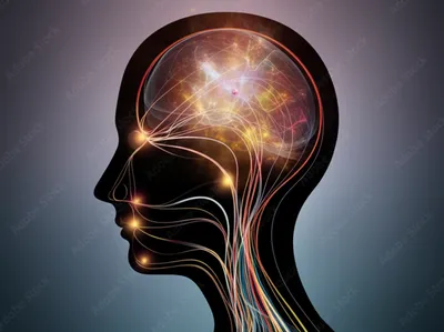 Illustration sensorium - Image 1