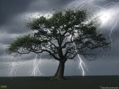 Illustration invincibility