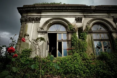 Illustration confounded - Image 1