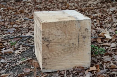 Illustration stubs - Image 1