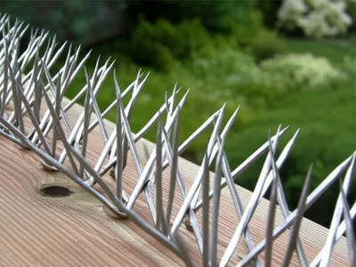 Illustration spikes - Image 1