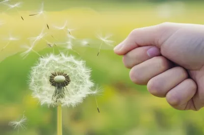 Illustration fist - Image 1