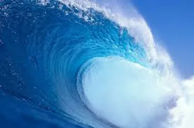 Illustration crest - Image 2