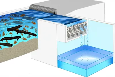 Hình ảnh minh họa submits - Ảnh 1