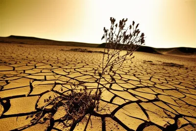 Illustration scarce - Image 1