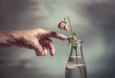 Illustration displeasing