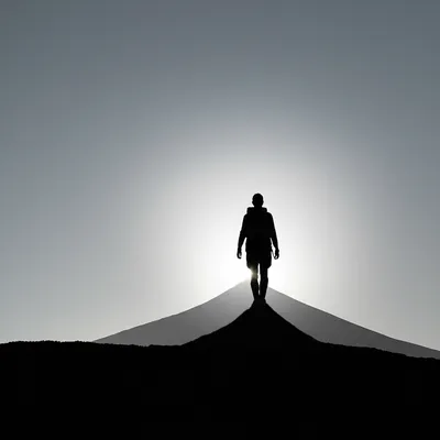 Illustration seeks - Image 1