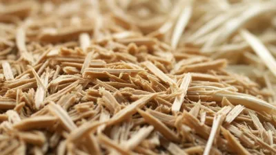 Illustration shives - Image 1