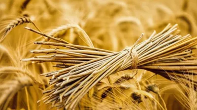 Illustration scope - Image 1