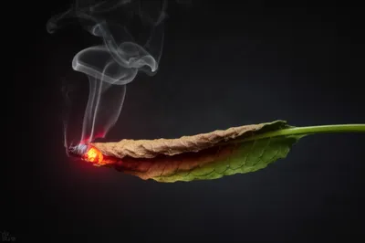 Illustration burn - Image 1