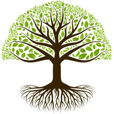 Illustration line - Image 1