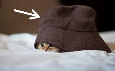 Illustration shroud - Image 3