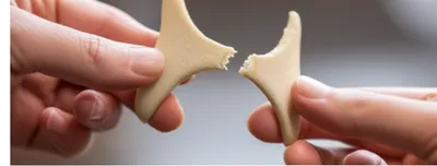 Illustration bone - Image 1