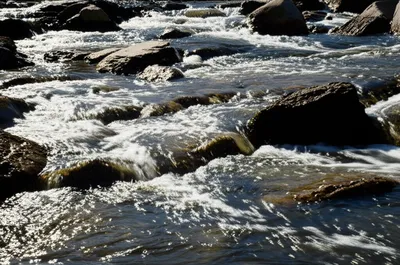 Illustration lumpen - Image 1