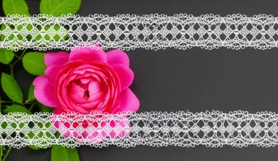 Illustration guarding - Image 1