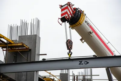 Illustration luff - Image 1