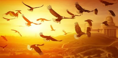 Illustration rites - Image 1