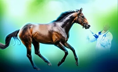 Illustration milkshakes - Image 1