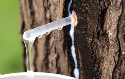 Illustration boxed - Image 1