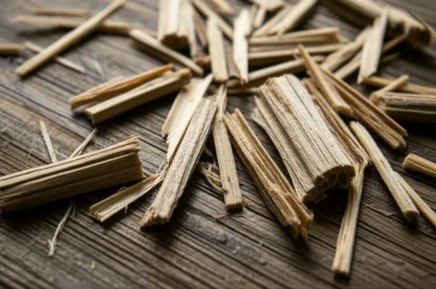 Illustration shiv - Image 1