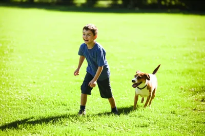 Illustration lad - Image 1