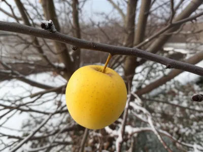 Illustration persistent - Image 1