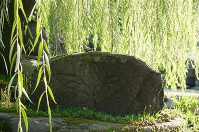 Illustration epitaphs - Image 1