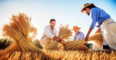 Illustration gathers - Image 1