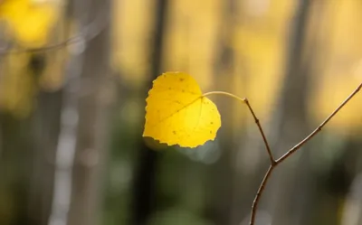 Illustration quivered - Image 1