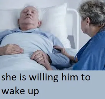 Illustration will - Image 2